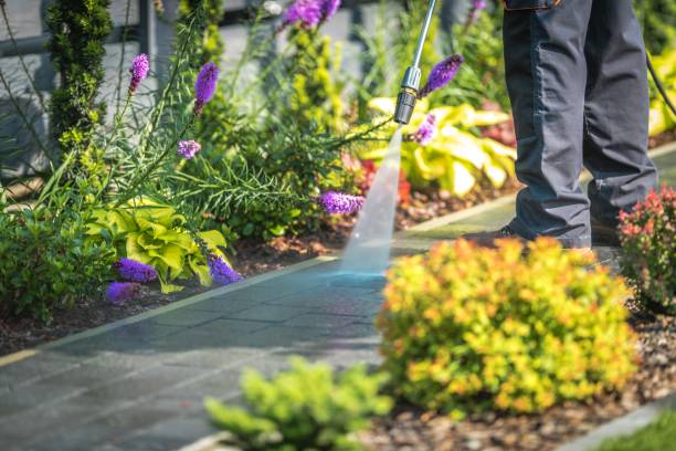 Best Patio and Deck Pressure Washing  in Helmetta, NJ