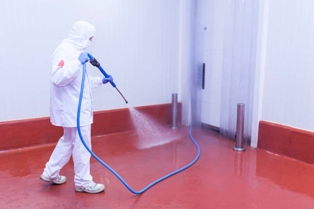 Best Roof Washing  in Helmetta, NJ