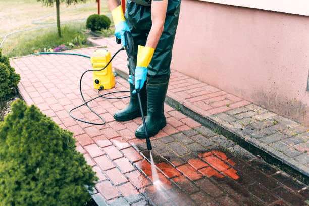 Best Animal Enclosure Cleaning  in Helmetta, NJ